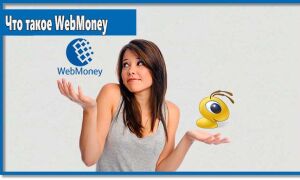 Что такое WebMoney: функционал, преимущества и недостатки