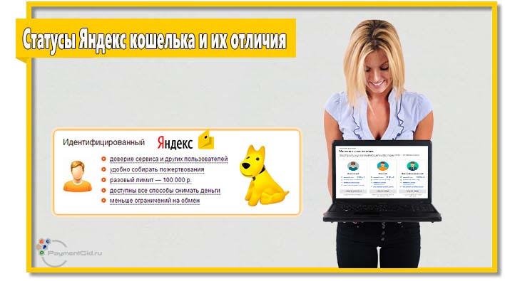 В системе «Яндекс.Деньги» действует несколько статусов. Каждый статус предусматривает индивидуальные особенности.